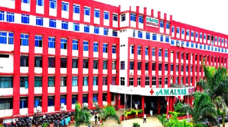 Amaltas University